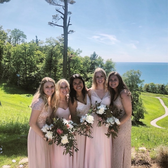 BHDLN X Anthropologie Blaise Sequined -blush pink - Picture 4 of 7